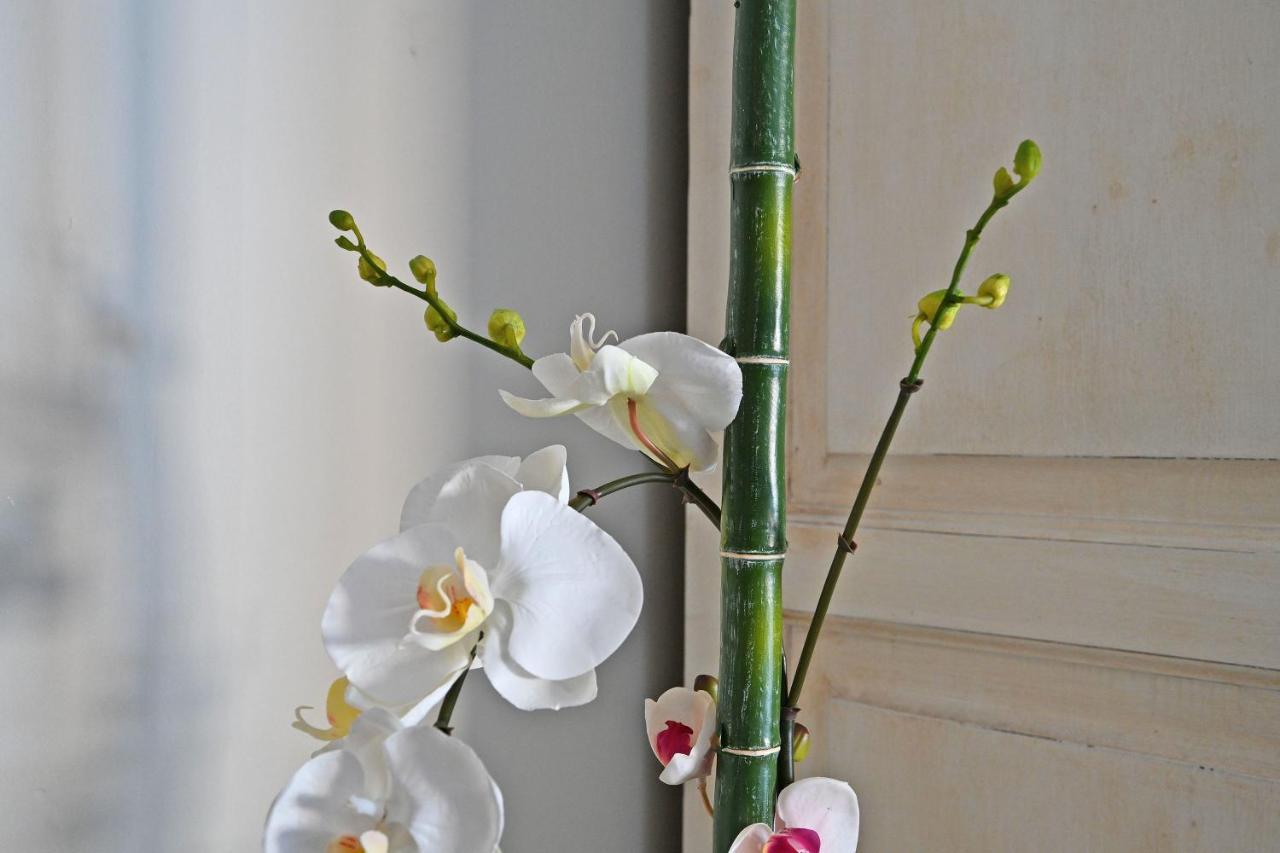 Au Coeur Des Papes, Dans Batisse De Charme Studios & Appartements En Coeur De Ville Avignon Kültér fotó
